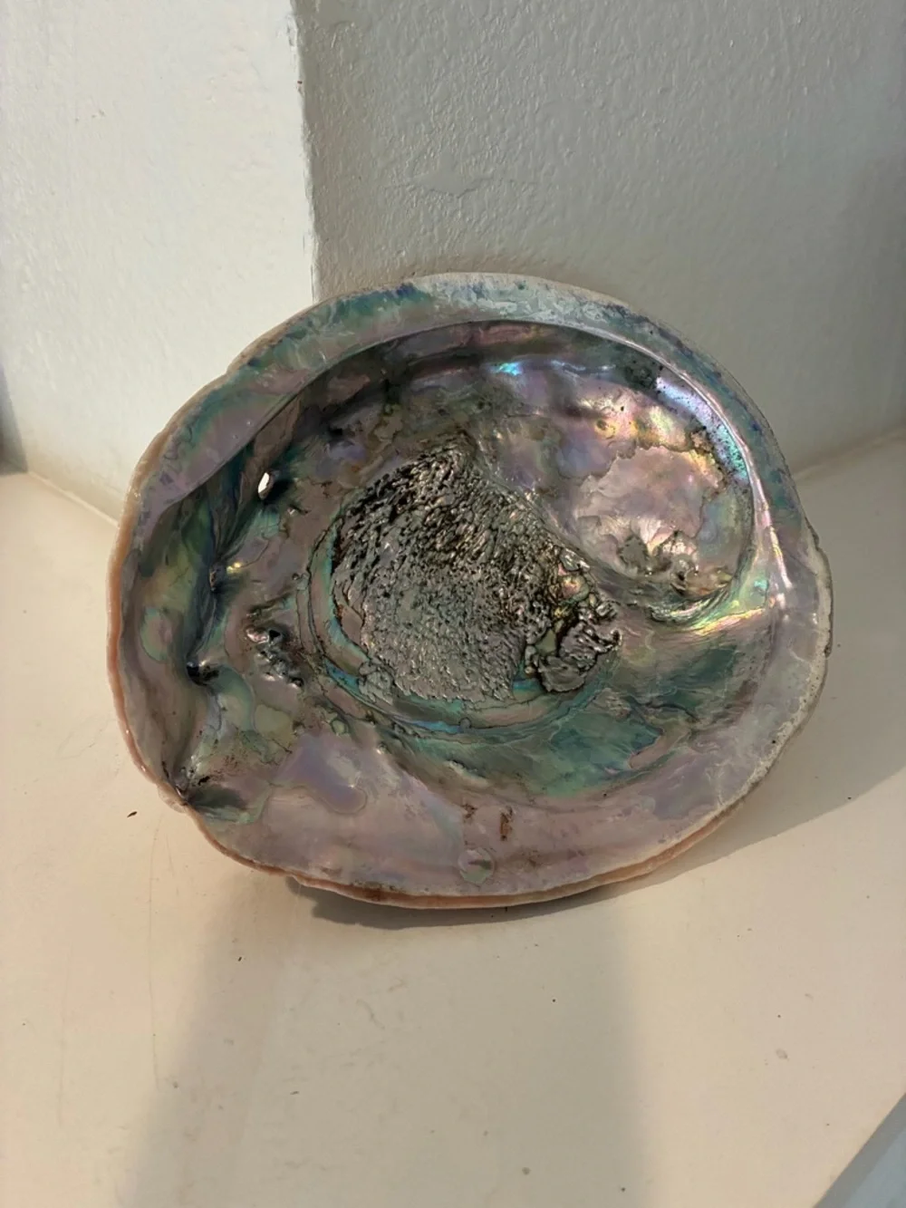Vintage Iridescent Abalone Shell Pacific Ocean - Picture 1 of 5